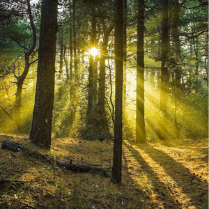 捏奶在线控制时间
